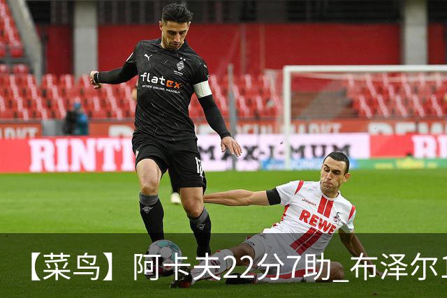 【菜鸟】阿卡夫22分7助 布泽尔16分11板4助2帽 瓦格勒11分5板4助