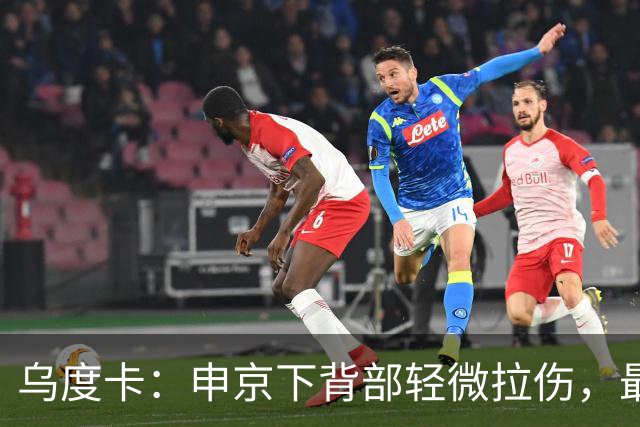 乌度卡：申京下背部轻微拉伤，最多缺席几场