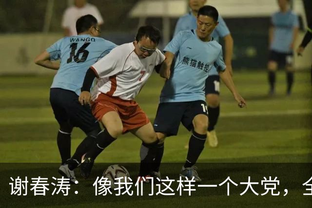 谢春涛：像我们这样一个大党，全面从严治党，靠各级党组织和全体党员、干部动手一起来抓