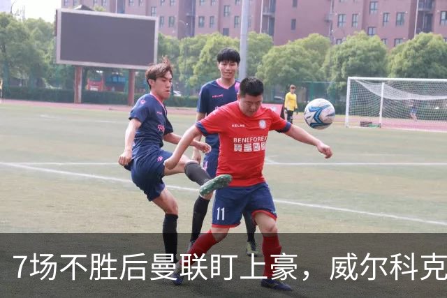 7场不胜后曼联盯上豪，威尔科克斯为何偏爱他